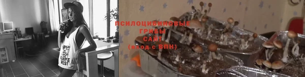 круглые Алзамай