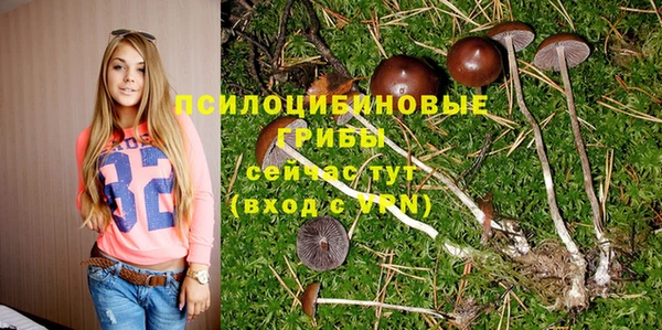 герыч Алексин