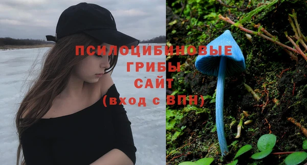 круглые Алзамай