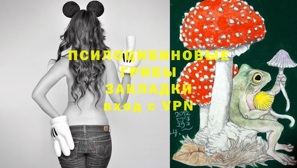 круглые Алзамай